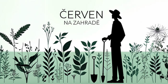 baner do newsletteru ČERVEN