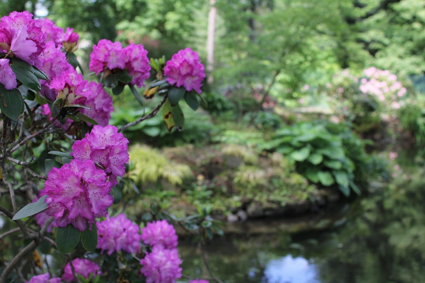 Arboretum Jablunkov