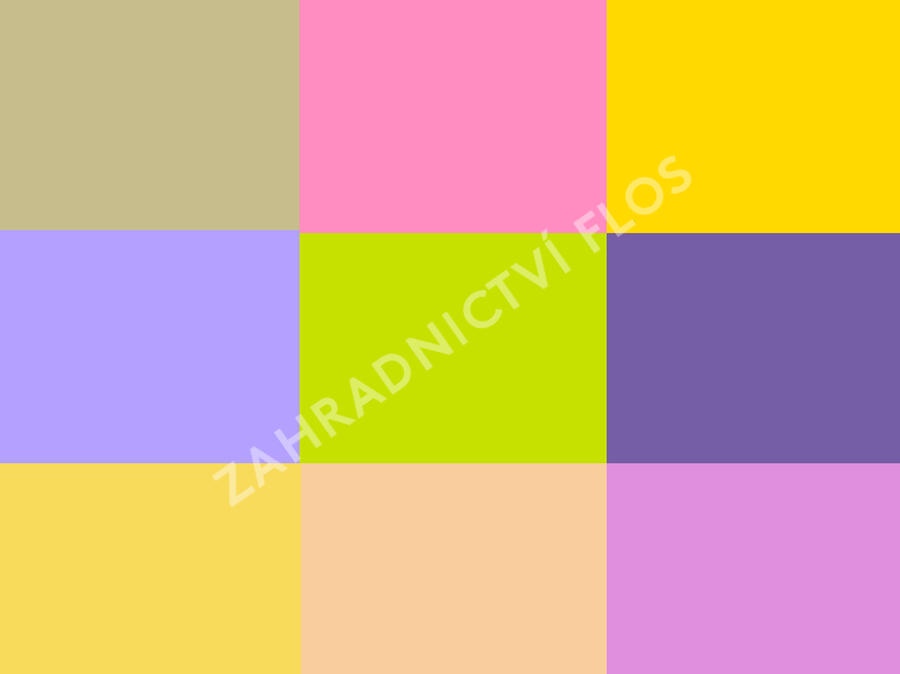 Trvalkový záhon na slunce Domácí kvítí - Domácí kvítí