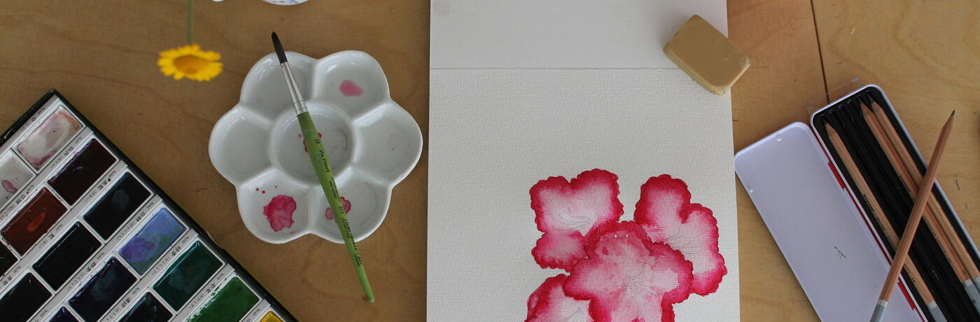 herbář rhododendron