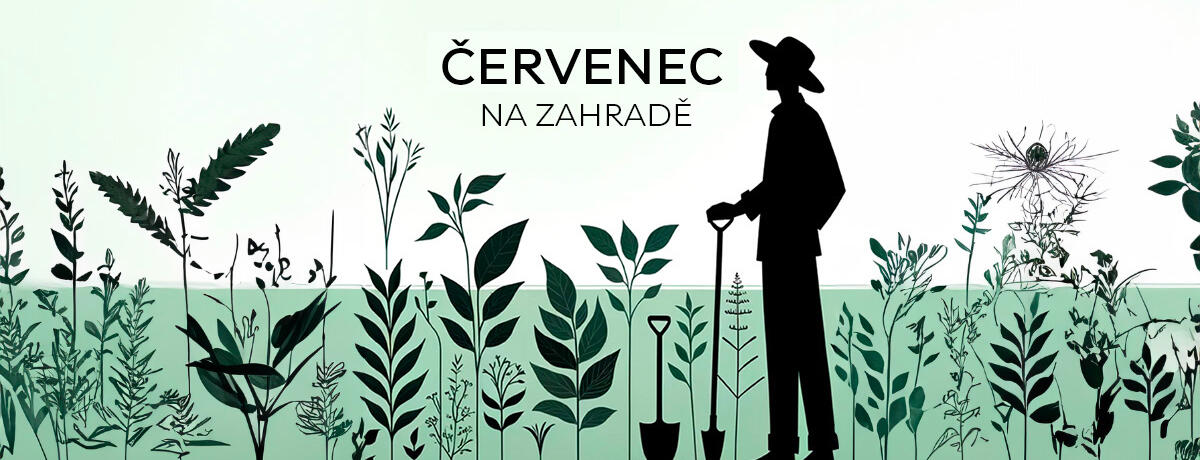 ČERVENEC