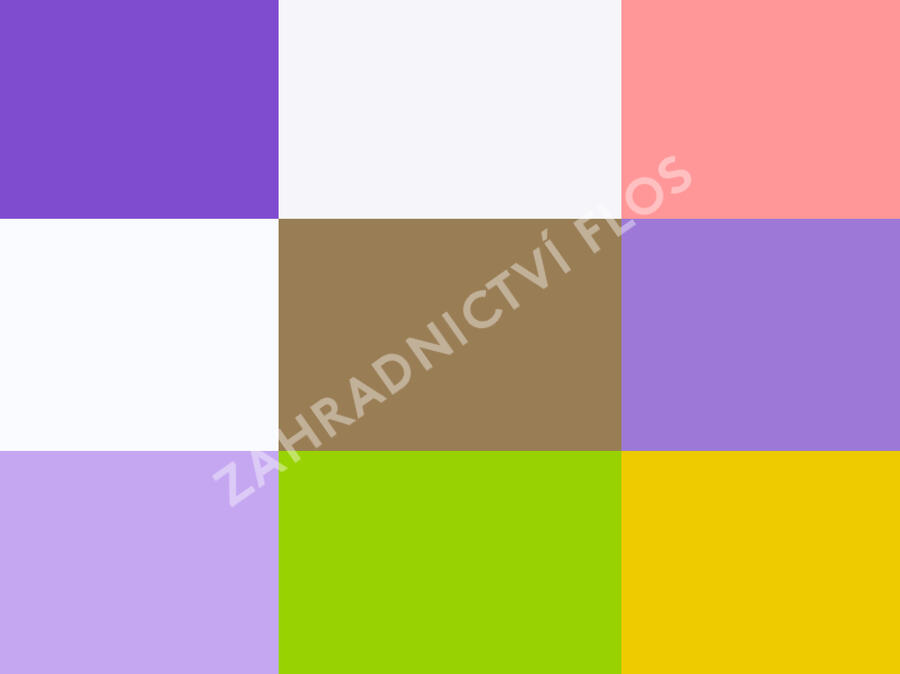 Trvalkový záhon do polostínu Barevná nezávislost - Barevná nezávislost