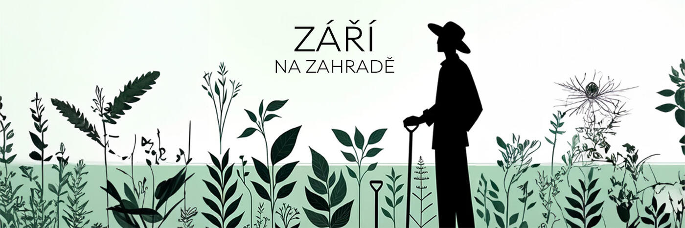 baner blog září