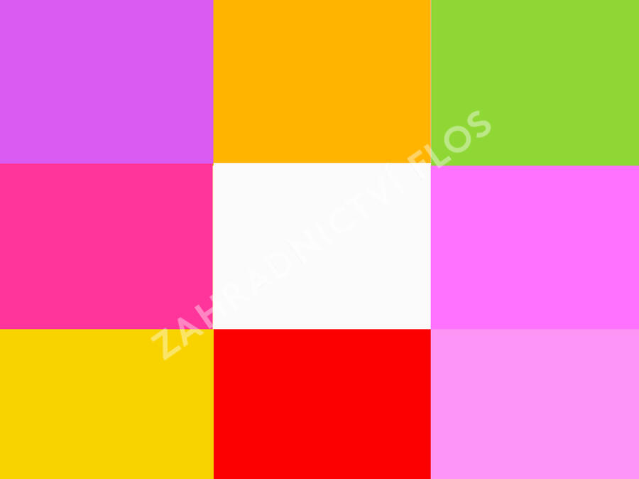 Trvalkový záhon na slunce Slunná stráň - Slunná stráň