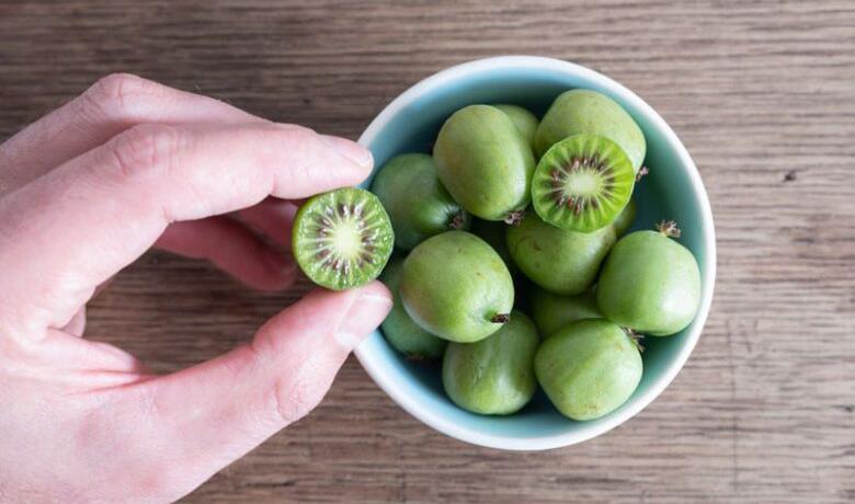 kiwi