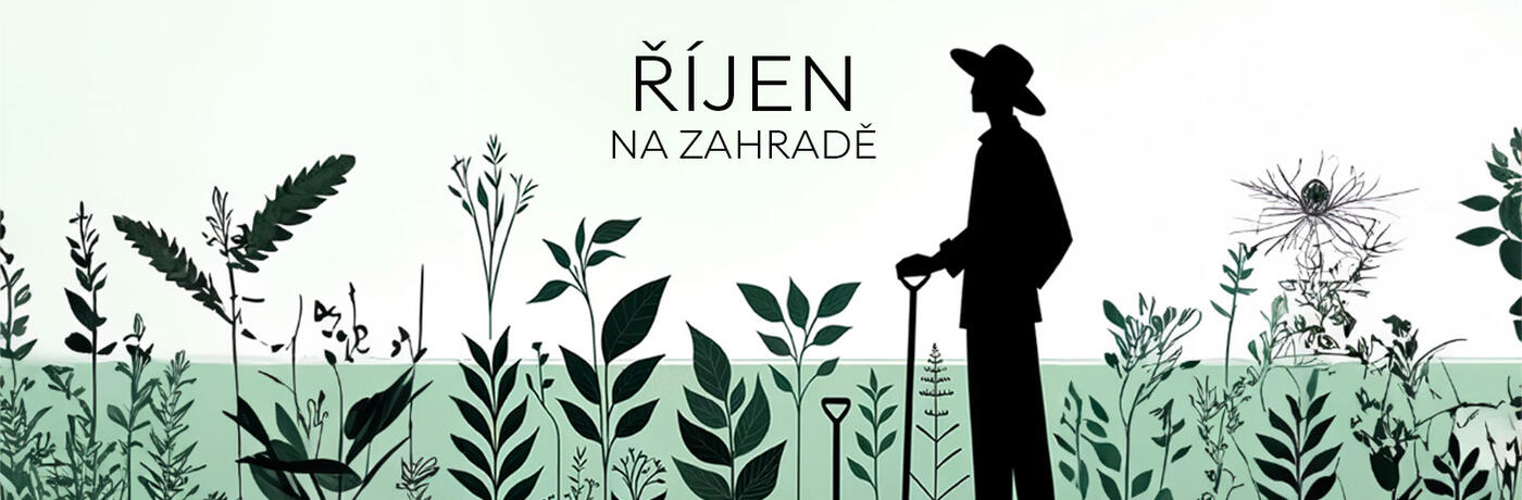 baner blog ŘÍJEN