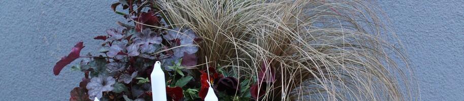 Halloween dekorace do truhlíku