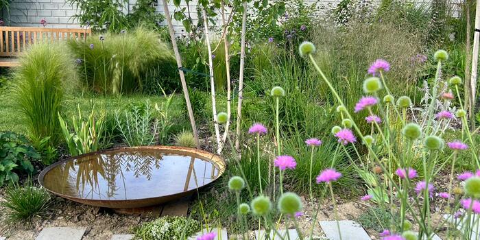 Stromy do jílovité půdy