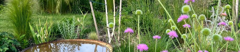 Stromy do jílovité půdy