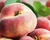 Broskvoň středně raná 'Fruit Me®Peach Me Donut'
