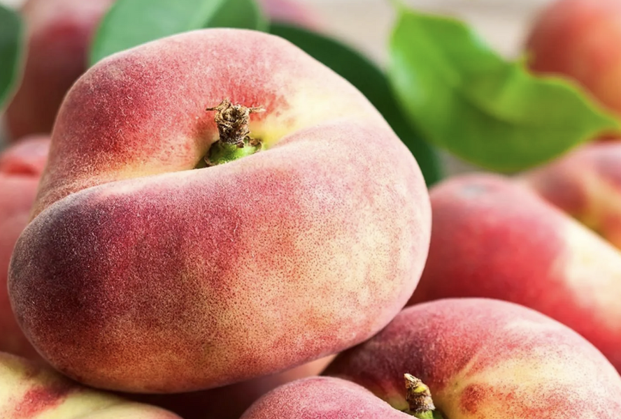 Broskvoň středně raná 'Fruit Me®Peach Me Donut' - Prunus persica 'Fruit Me®Peach Me Donut'