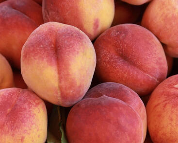 Broskvoň středně raná 'Fruit Me®Peach Me Red'