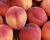 Broskvoň středně raná 'Fruit Me®Peach Me Red'