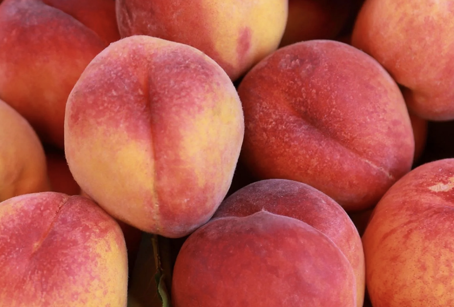 Broskvoň středně raná 'Fruit Me®Peach Me Red' - Prunus persica 'Fruit Me®Peach Me Red'