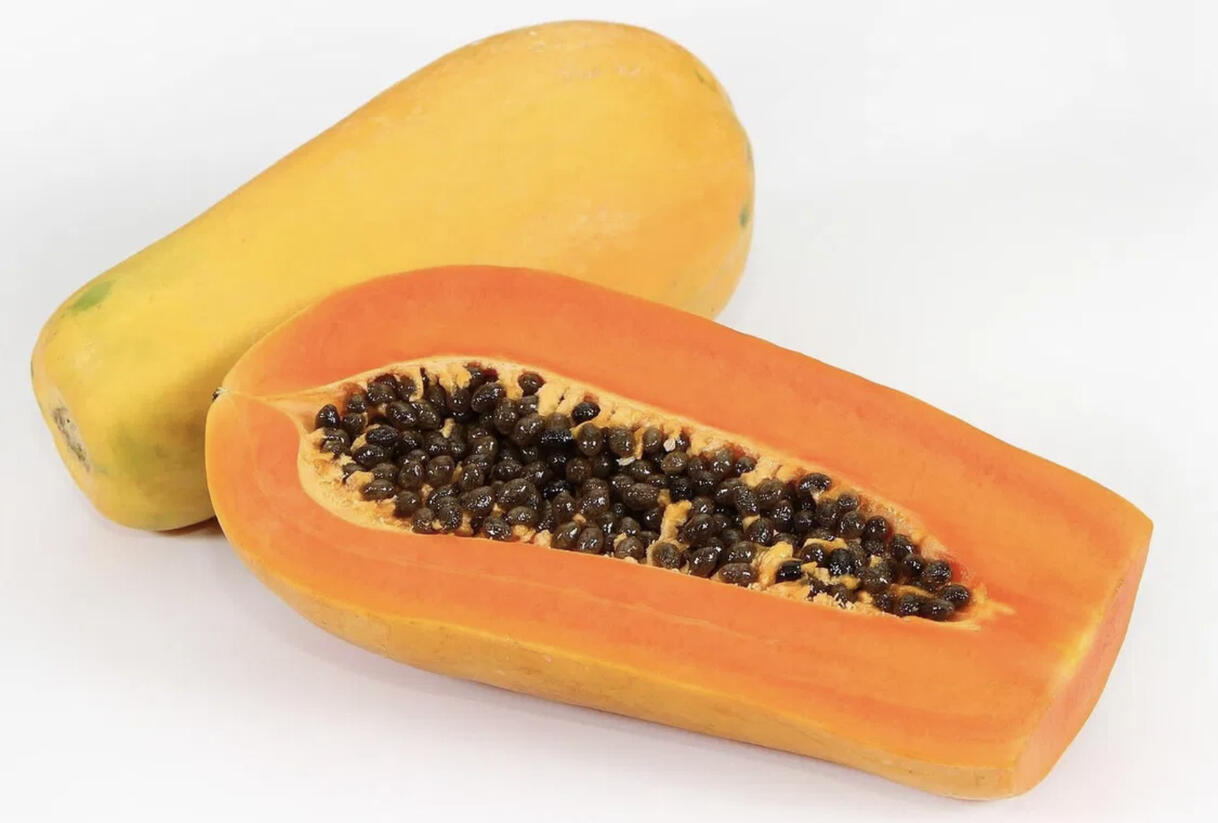 Papája obecná 'Sunnybees' - Carica papaya 'Sunnybees'