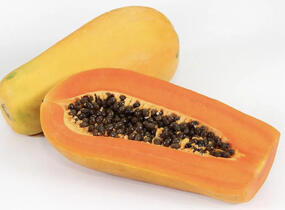 Papája obecná 'Sunnybees' - Carica papaya 'Sunnybees'