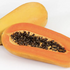 Carica papaya 'Sunnybees'.png
