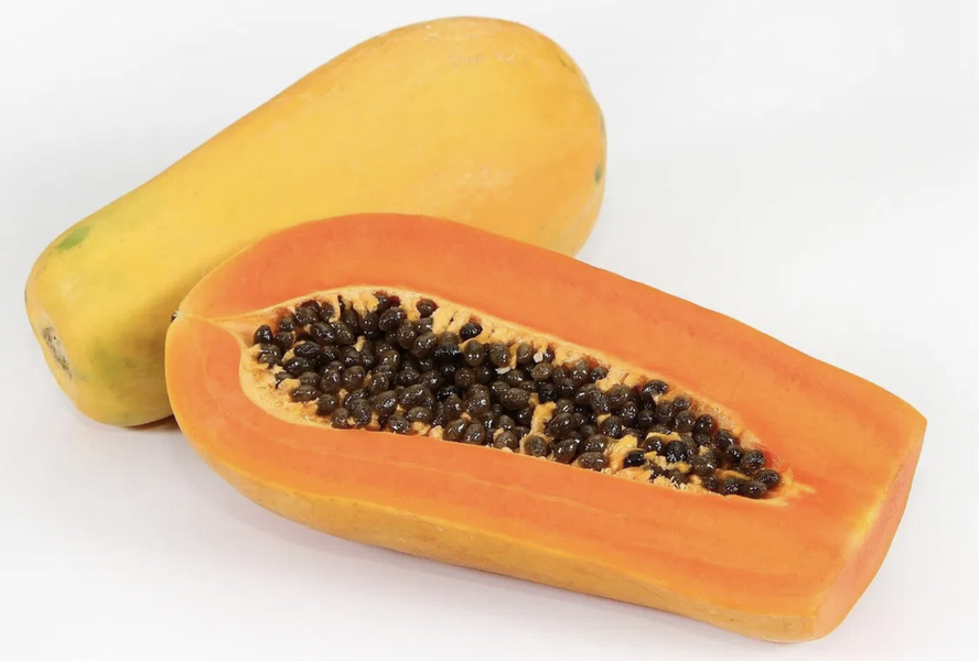 Papája obecná 'Sunnybees' - Carica papaya 'Sunnybees'