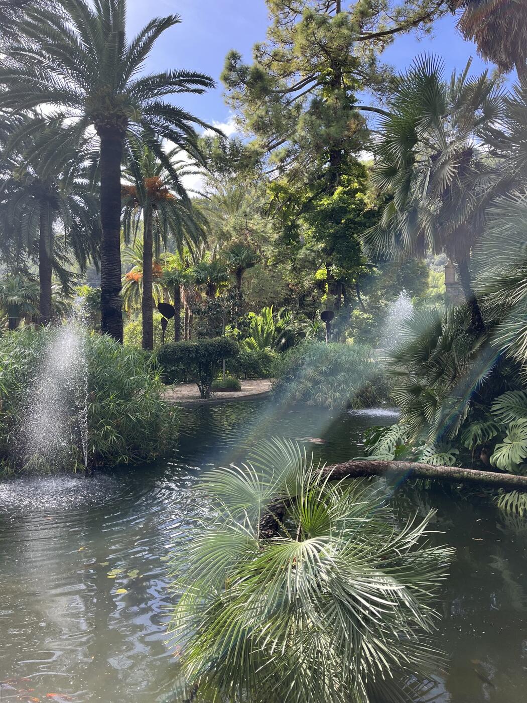Zahrada Mallorca