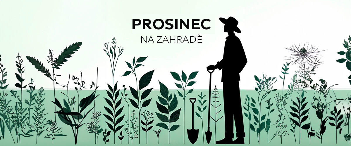 prosinec to do list
