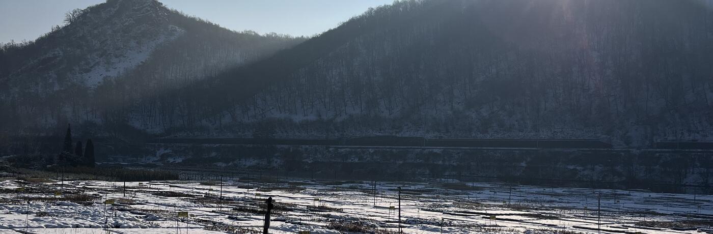 zahradnictví flos v zimě