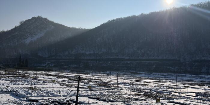 zahradnictví flos v zimě