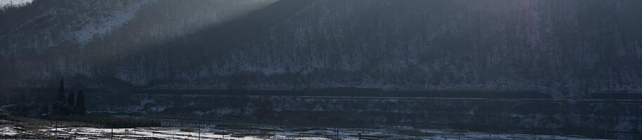 zahradnictví flos v zimě