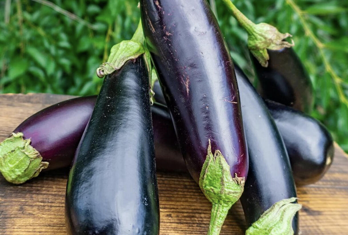 Lilek vejcoplodý balkonový 'Diamond Purple' - Solanum melongena 'Diamond Purple'