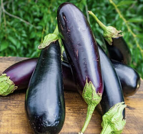 Lilek vejcoplodý balkonový 'Diamond Purple'