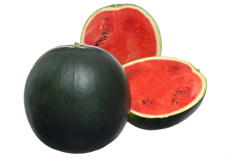 Meloun vodní 'Fire Ball F1' - Citrullus lanatus 'Fire Ball F1'