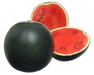 Meloun vodní 'Fire Ball F1'