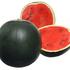 citrullus_lanatus_fire_ball.jpeg
