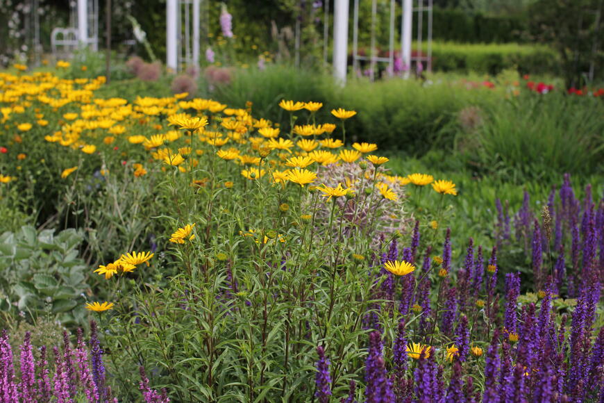 Dendrologická zahrada