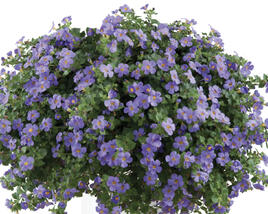 Bakopa 'Gulliver Blue'