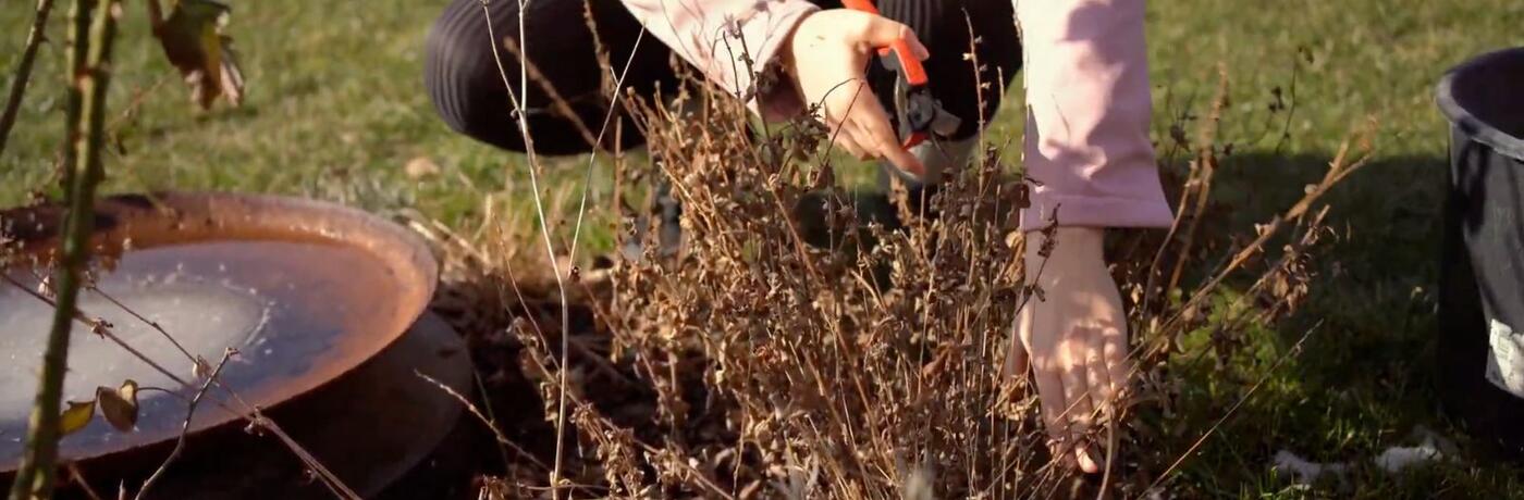 náhledový obrázek kurz jarní údržba (1)