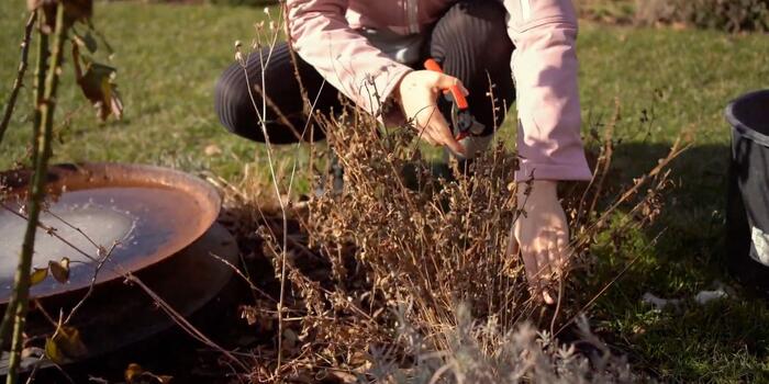 náhledový obrázek kurz jarní údržba (1)