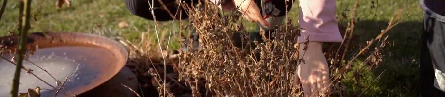 náhledový obrázek kurz jarní údržba (1)