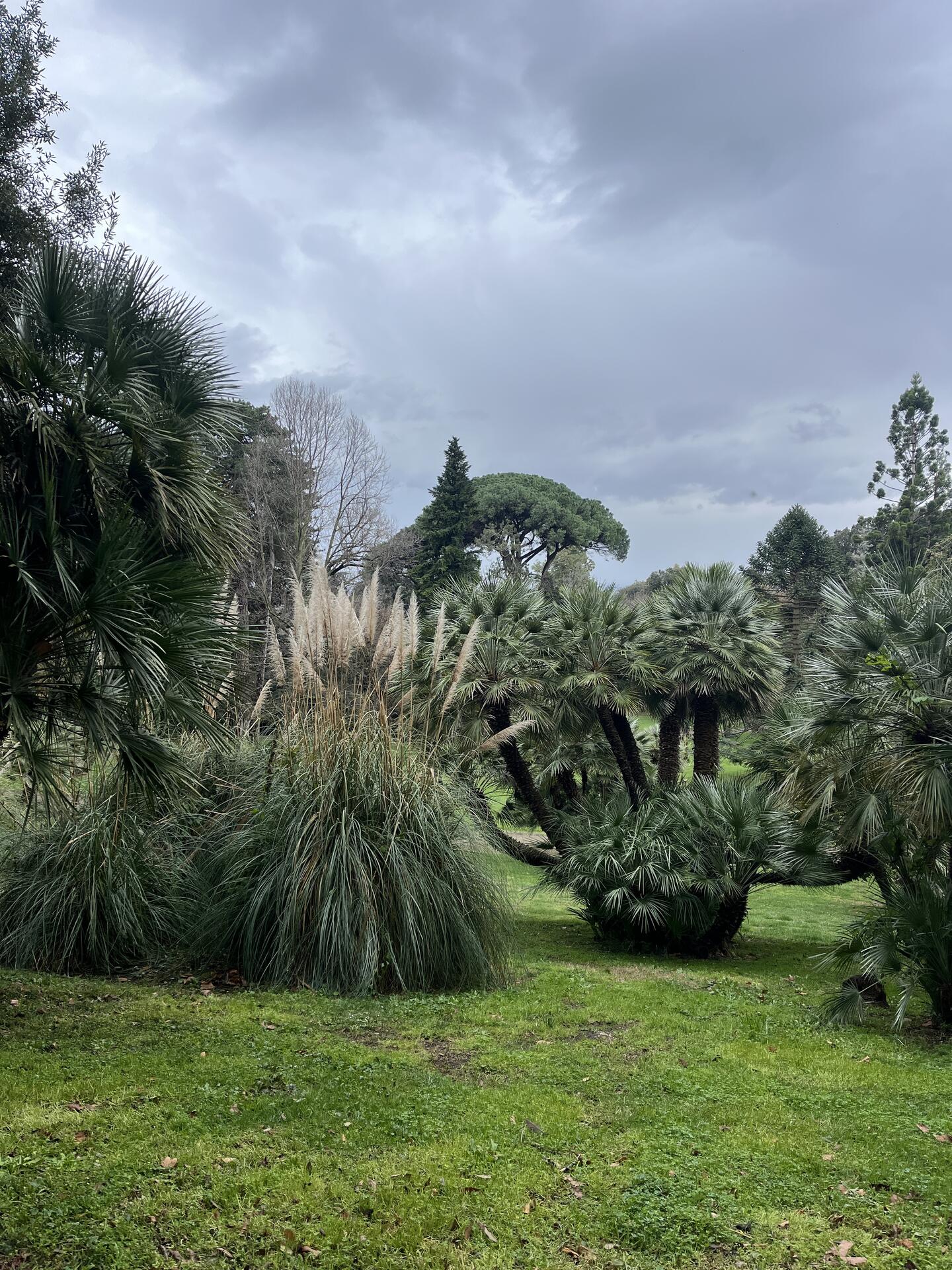 Caserta