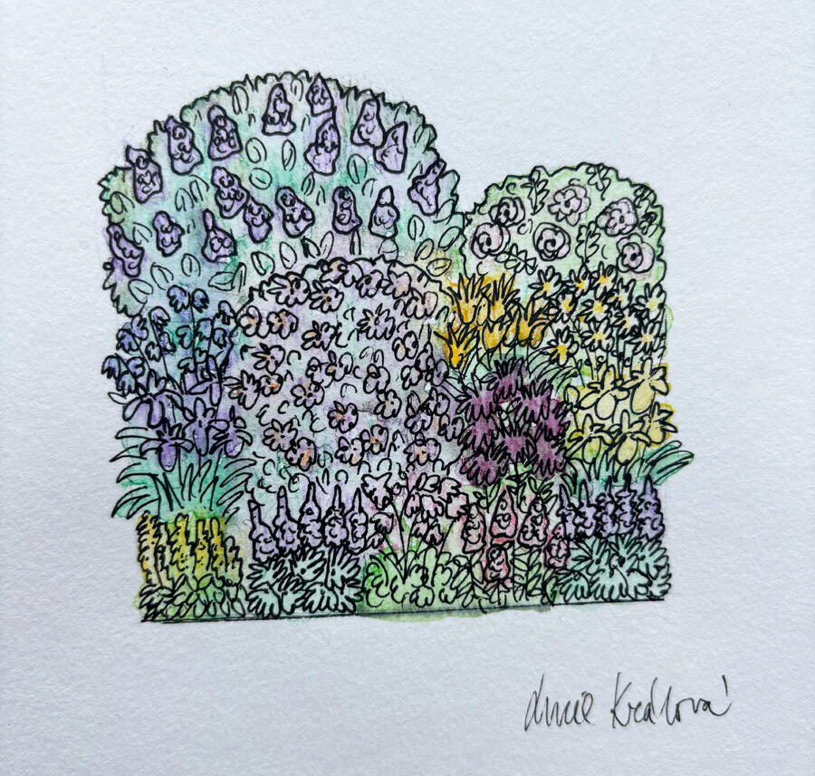 Trvalkový záhon Babičkovská zahrada - Babičkovská zahrada