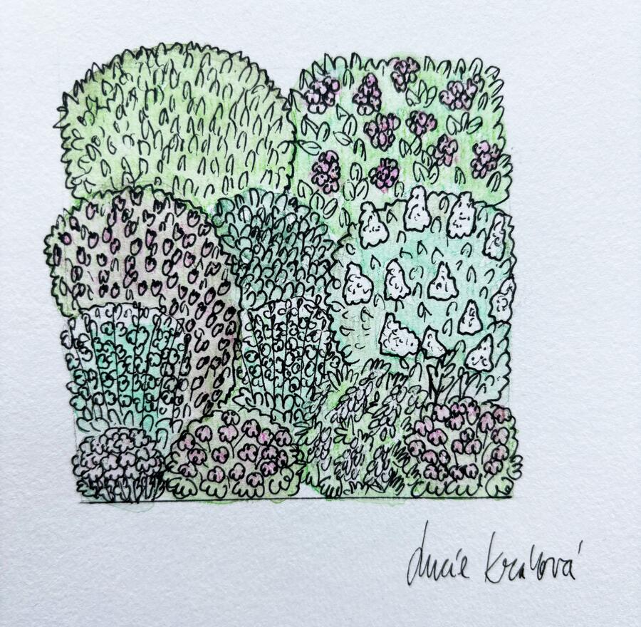 Kombinovaný záhon na slunce Keřová zahrada - Keřová zahrada