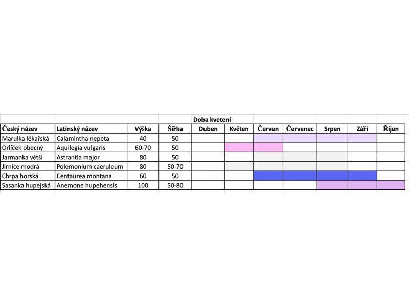 Trvalkový záhon do polostínu Polostinná zahrada - Polostinná zahrada