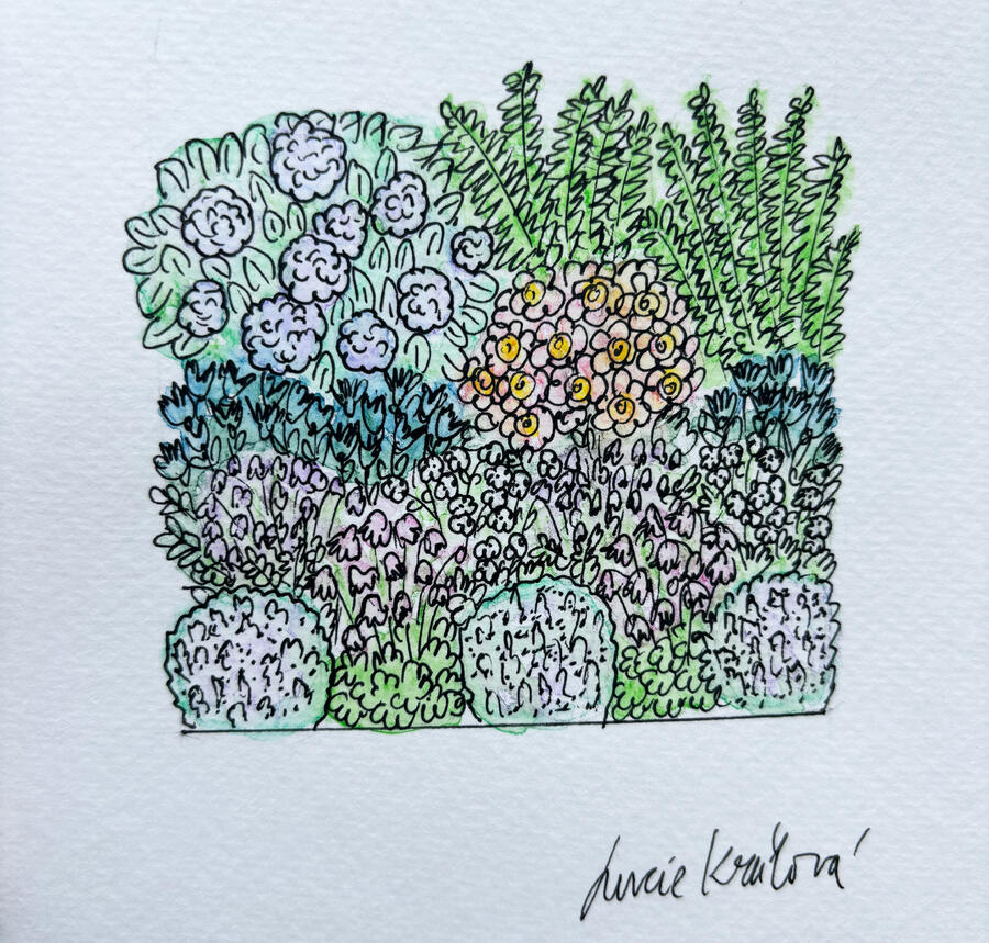 Trvalkový záhon do polostínu Polostinná zahrada - Polostinná zahrada