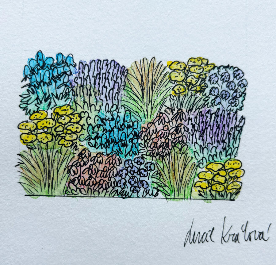 Trvalkový záhon na slunce Zahrada se svahem - Zahrada se svahem