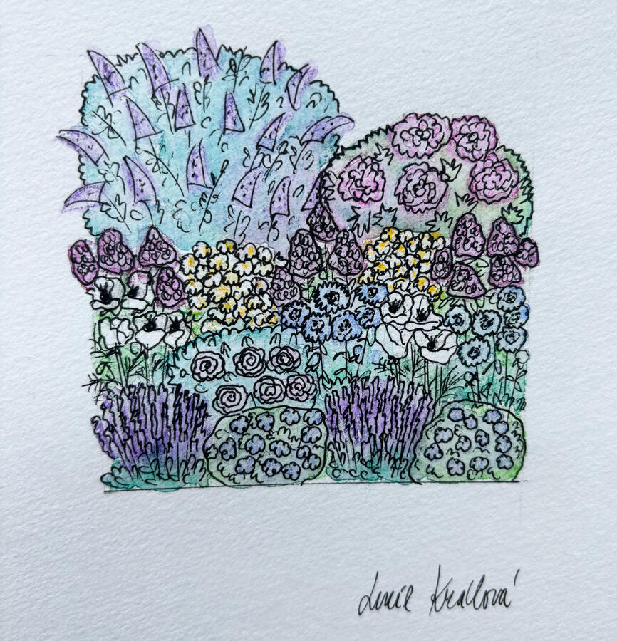 Trvalkový záhon na slunce Venkovská zahrada - Venkovská zahrada