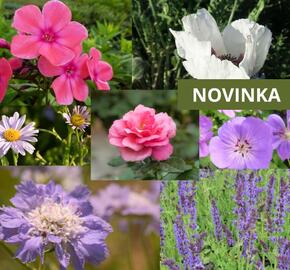 Trvalkový záhon na slunce Venkovská zahrada - Venkovská zahrada