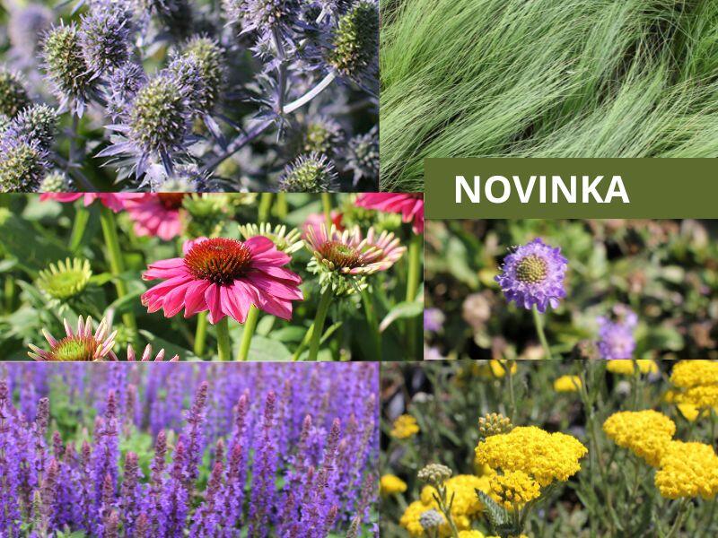 Trvalkový záhon na slunce Zahrada se svahem - Zahrada se svahem