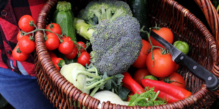 pěstování podle tratí