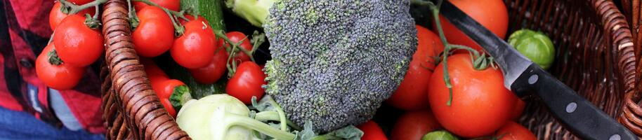 pěstování podle tratí