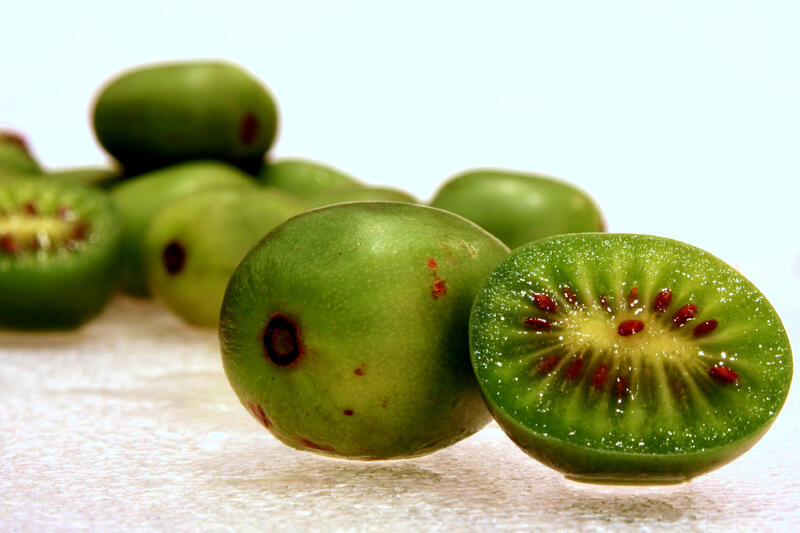 Kiwi v akci