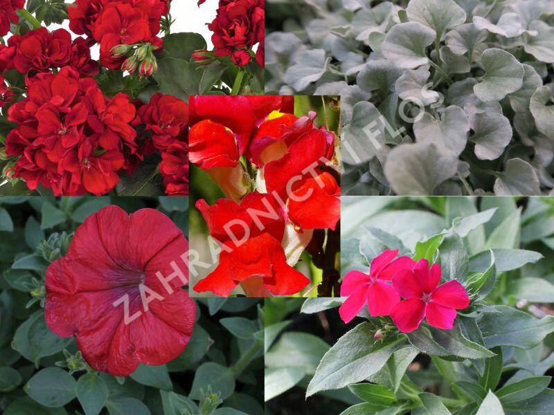 Sestava červených a stříbrných letniček na slunce - Červeno stříbrná na slunce